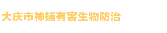 廣州訊博網(wǎng)絡(luò)科技有限公司